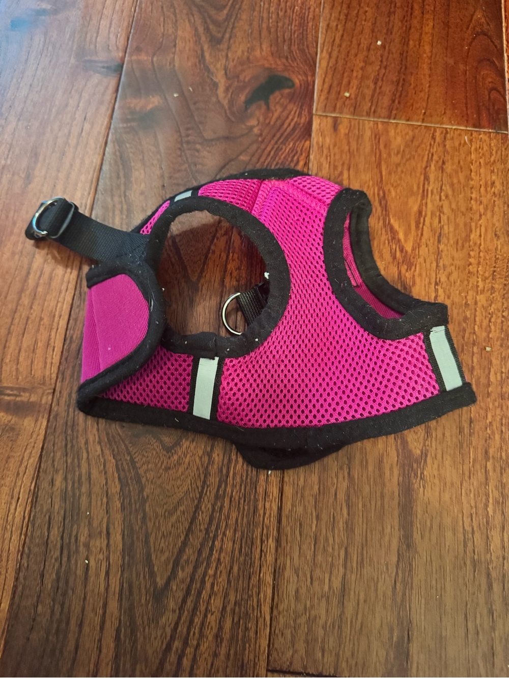 Bundle of 4 XS Dog Outfits and Harness - Picture 7 of 7
